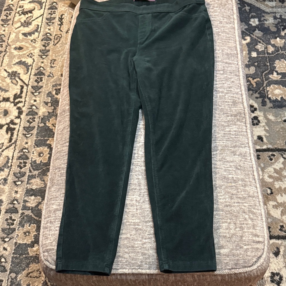 Gloria Vanderbilt Forest Green Velour Leggings